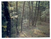 54_cromphout-2air.jpg